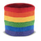 Rainbow Terry Cloth Wristband